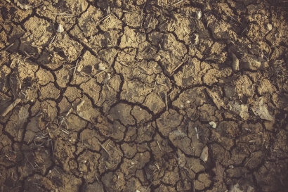 Thumbnail for 150 Blackburn Boulevard - Excess Soil Management, Sampling & Testing